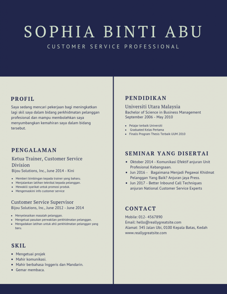 Contoh Template Resume Profesional 2 791x1024