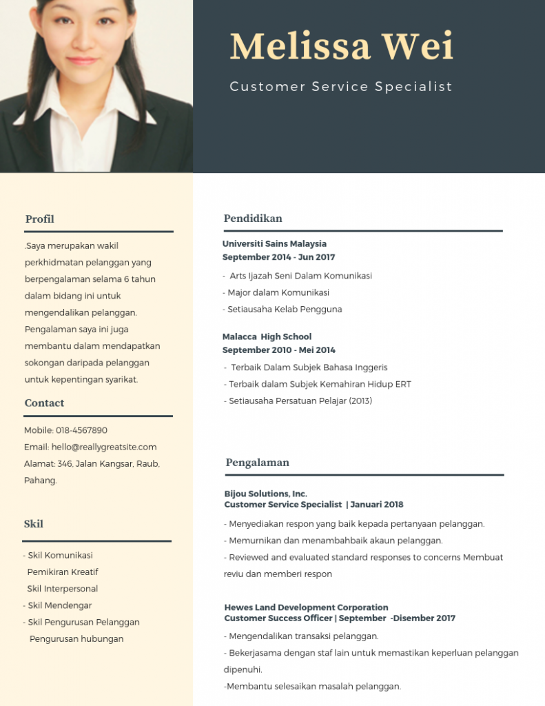 Contoh Template Resume Profesional 3 791x1024