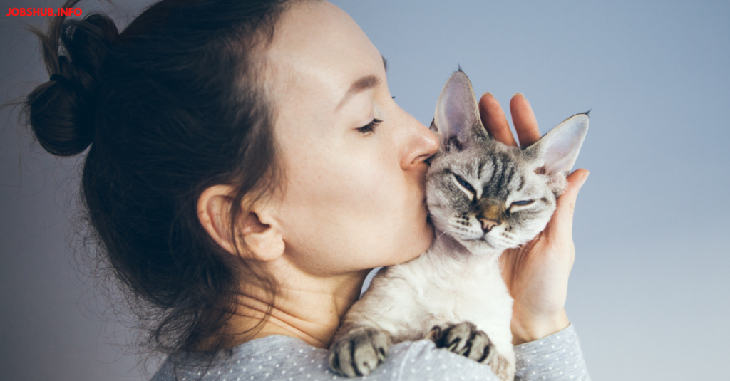 Cat 1024x535